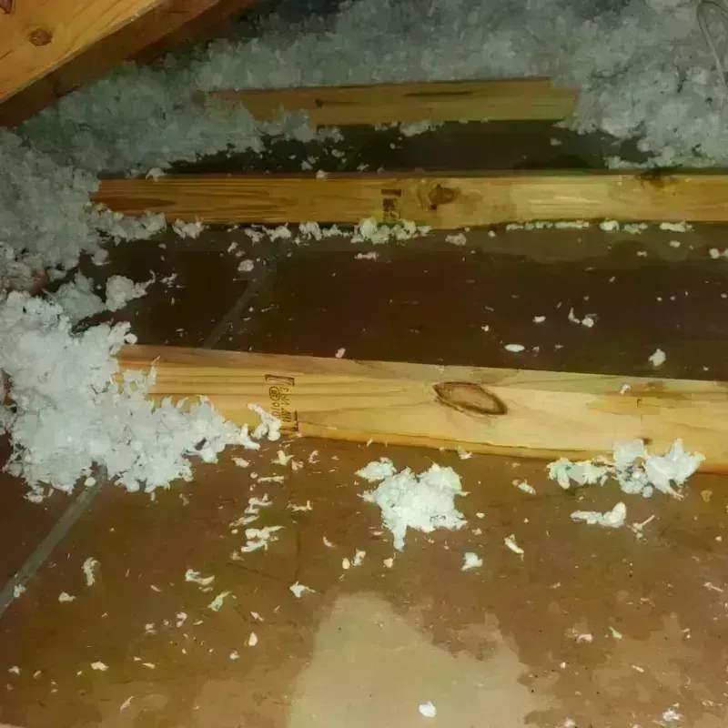 Attic Water Damage in Williston, ND