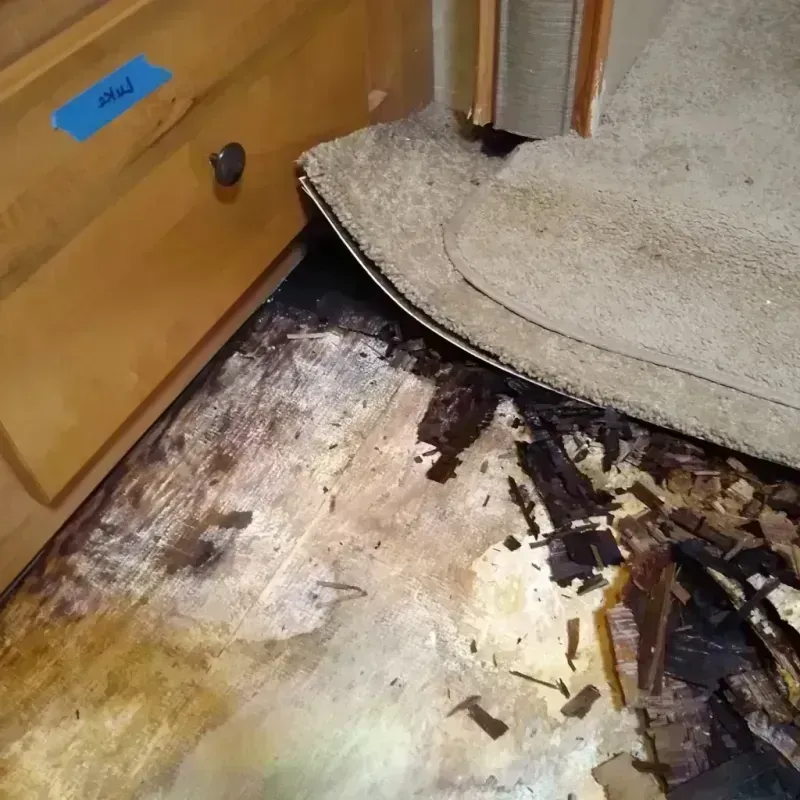 Wood Floor Water Damage in Williston, ND